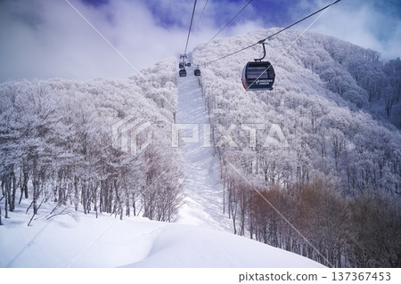 View from inside the Nagasaka Gondola at Nozawa Onsen Ski Resort in winter 137367453