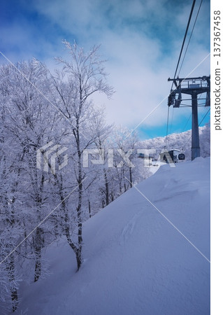 冬天從野澤溫泉滑雪場的長坂纜車內看到的景色 137367458
