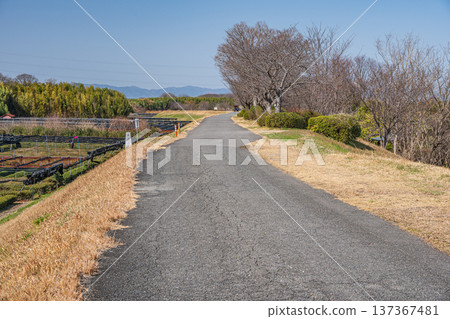 Promenade on the right bank of the Kizu River, Joyo City, Kyoto Prefecture 137367481