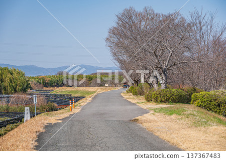 京都府常陽市木津川右岸長廊 137367483