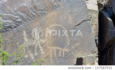 Stone with petroglyphs. Rock with the image of the animals. Stone with petroglyphs. Rock with the image of the animals. 137367552