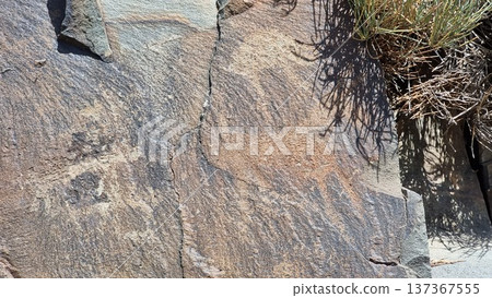 Stones with petroglyphs. Stone background texture. 137367555