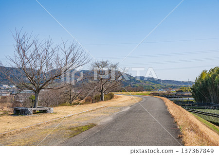 Promenade on the right bank of the Kizu River, Joyo City, Kyoto Prefecture Promenade on the right bank of the Kizu River, Joyo City, Kyoto Prefecture 137367849