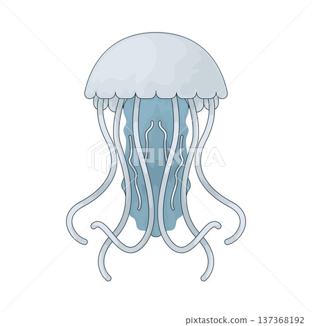 Illustration of jellyfish Illustration of jellyfish 137368192