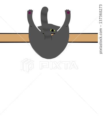 Cat caught on a stick 137368273