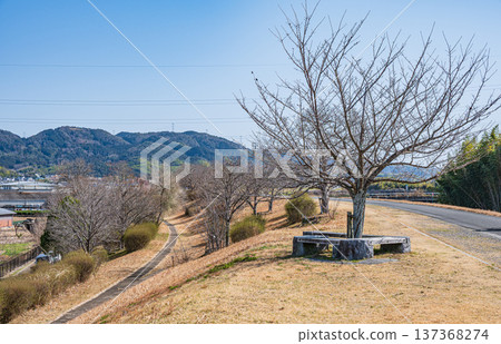 A small park on the right bank of the Kizu River, Joyo City, Kyoto Prefecture 137368274
