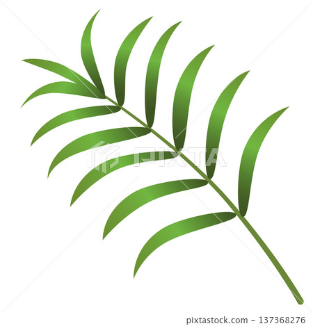 新鮮綠色的棕櫚葉插圖 新鮮綠色的棕櫚葉插圖 137368276