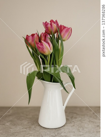 Tulip flower arrangement - Simple and sophisticated Scandinavian style still life photography Tulip flower arrangement - Simple and sophisticated Scandinavian style still life photography 137368286