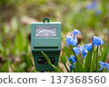 Gardening tool measures soil moisture, light, and pH near blooming blue flowers 137368560
