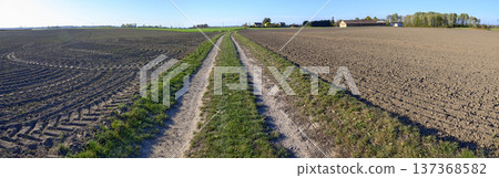 farmland with path through 137368582