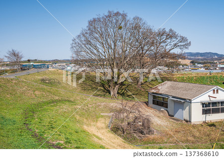 View from the right bank of the Kizu River, Joyo City, Kyoto Prefecture 137368610