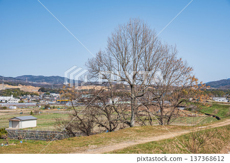 從京都府常陽市木津川右岸眺望 從京都府常陽市木津川右岸眺望 137368612
