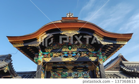 京都西本願寺的唐門，日本國寶，以及其精美的雕刻（唐門，京都，日本） 137368613