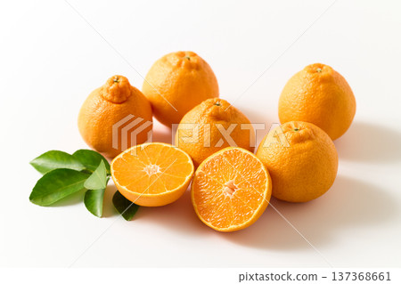 Dekopon 排列在白色背景上 137368661