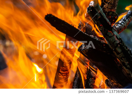 Flame of charcoal fire. Hearth for cooking and heating. Danger in forest Flame of charcoal fire. Hearth for cooking and heating. Danger in forest 137369607