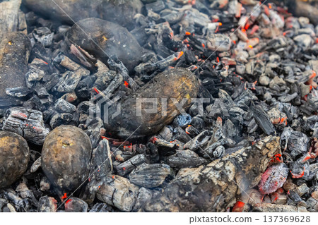 Grilled potatoes slowly cooking over hot charcoal embers in a backyard barbecue setting during a summer afternoon Grilled potatoes slowly cooking over hot charcoal embers in a backyard barbecue setting during a summer afternoon 137369628