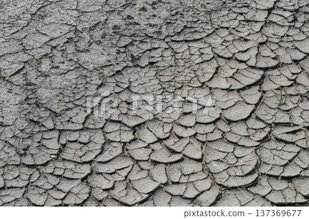 Cracked earth showing dry soil patterns under bright sunlight in a barren landscape during the dry season in a remote area 137369677
