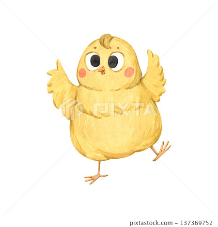 A sweet watercolor illustration of a little yellow chick 137369752