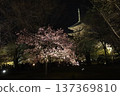 Light up of Toji Temple 137369810