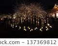 Light up of Toji Temple 137369812