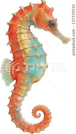 水彩風格海洋生物插畫 | 熱帶魚類與海洋生物（透明PNG格式） 137370550
