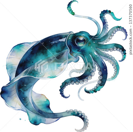 水彩風格海洋生物插畫 | 熱帶魚類與海洋生物（透明PNG格式） 137370560