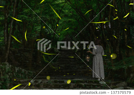 夜裡,螢火蟲和一位女子站在通往神社的路上。 夜裡,螢火蟲和一位女子站在通往神社的路上。 137370579