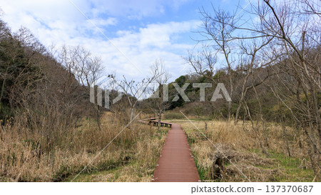 關東地區唯一的分水嶺-三浦半島的小次郎森林,是一處隱密的瑰寶,也是冬季的絕佳去處。 關東地區唯一的分水嶺-三浦半島的小次郎森林,是一處隱密的瑰寶,也是冬季的絕佳去處。 137370687