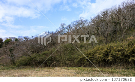 關東地區唯一的分水嶺－三浦半島的小次郎森林，是一處隱密的瑰寶，也是冬季的絕佳去處。 137370688