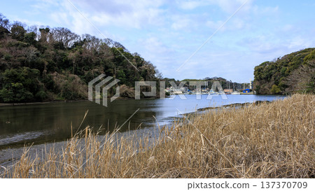 關東地區唯一的分水嶺－三浦半島的小次郎森林，是一處隱密的瑰寶，也是冬季的絕佳去處。 137370709