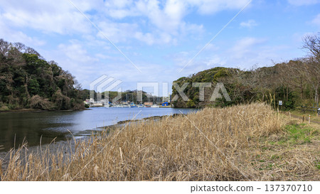關東地區唯一的分水嶺-三浦半島的小次郎森林,是一處隱密的瑰寶,也是冬季的絕佳去處。 關東地區唯一的分水嶺-三浦半島的小次郎森林,是一處隱密的瑰寶,也是冬季的絕佳去處。 137370710