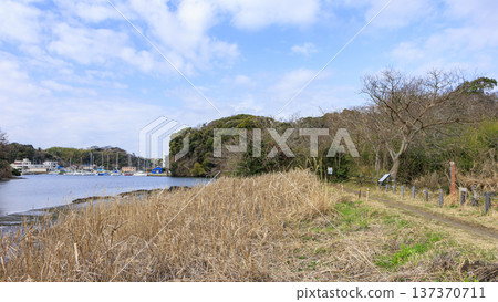 關東地區唯一的分水嶺－三浦半島的小次郎森林，是一處隱密的瑰寶，也是冬季的絕佳去處。 137370711