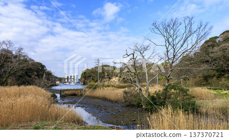 Winter in Koajiro Forest on the Miura Peninsula, the only watershed in the Kanto region, a hidden gem Winter in Koajiro Forest on the Miura Peninsula, the only watershed in the Kanto region, a hidden gem 137370721
