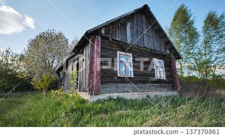 Abandoned rustic wooden house standing in overgrown grass under a blue sky Abandoned rustic wooden house standing in overgrown grass under a blue sky 137370861