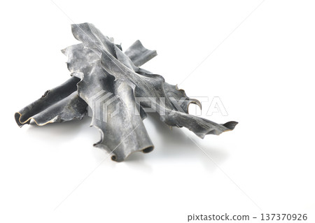 白色背景上的乾海帶照片 137370926