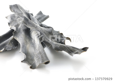 白色背景上的乾海帶照片 137370929