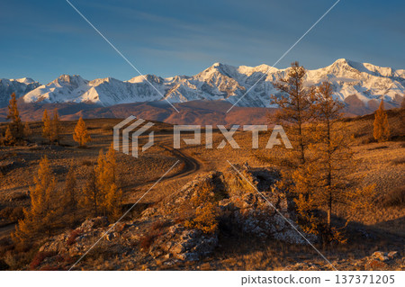 Scenic autumn landscape with snow-covered mountains and golden trees 137371205