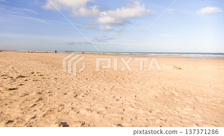Wide Sandy Beach With Calm Sea Horizon Under Blue Sky and Scattered Clouds Wide Sandy Beach With Calm Sea Horizon Under Blue Sky and Scattered Clouds 137371286