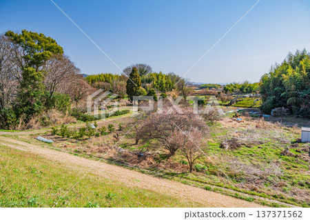京都府常陽市木津川右岸的農田 137371562