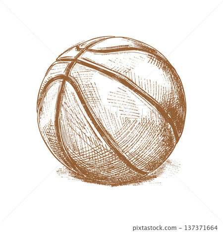 Basketball Ball Retro Engraving Vector Illustration in Urban Ink Sketch Drawing Style Basketball Ball Retro Engraving Vector Illustration in Urban Ink Sketch Drawing Style 137371664