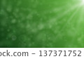 Soft green bokeh background with light rays and blur 137371752