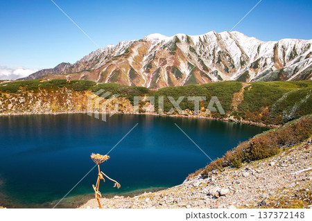 Mt. Tateyama "Mikurigaike" in autumn 137372148