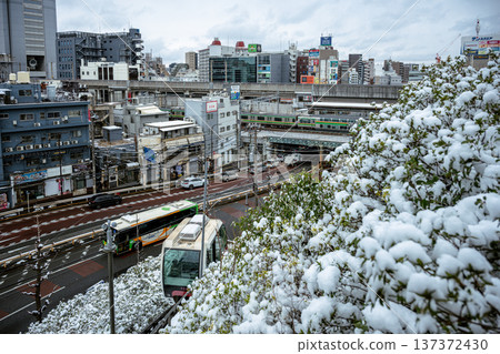 Toei bus and Ascargo climbing the slope of Asukayama Toei bus and Ascargo climbing the slope of Asukayama 137372430