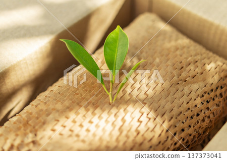 Green leaf on eco friendly brown paper honeycomb wrap for product packaging parcel carton box 137373041