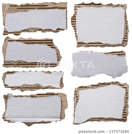 piece of white paper tear isolated on white background piece of white paper tear isolated on white background 137373084
