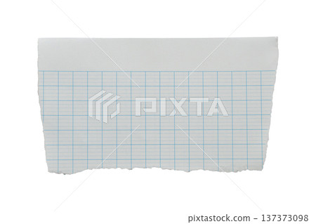 piece of lined graph paper tear isolated on white background 137373098