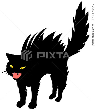 Threatening cat - Angry, bristling cute cat illustration material Threatening cat - Angry, bristling cute cat illustration material 137373347