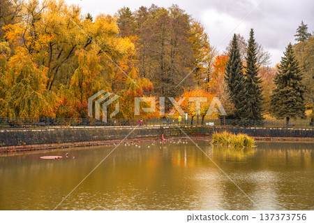 A serene pond in Kudowa Zdroj showcases vibrant autumn foliage around its banks. Shades of orange, yellow, and green reflect in the calm water, creating a peaceful atmosphere. 137373756