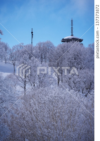 冬季的野澤溫泉滑雪場：高根無山展望台被覆蓋著霜雪的樹木環繞 137373872