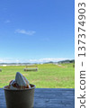 一邊享用軟冰淇淋，一邊欣賞夏日鄉村美景。 137374903